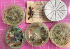 Fly fishing big for sale  SOUTHAMPTON
