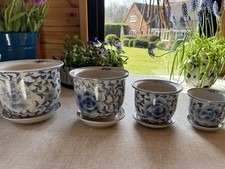 Lotus blue white for sale  AMERSHAM