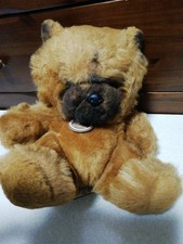 Peluche sanei chow usato  Spedire a Italy