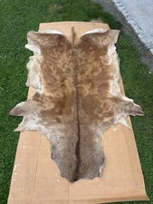 Großes hirschfell rothirsch gebraucht kaufen  Salzhausen