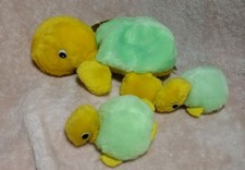 Sea turtle babies for sale  Richford