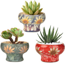 Set bellissime fioriere usato  Roma