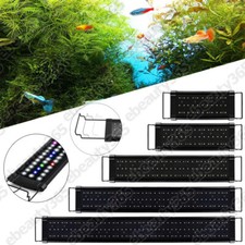 115cm aquarium fish for sale  HARLOW