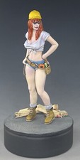 Dina handygirl jimmy for sale  Chicago