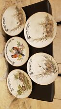 Assiettes motifs oiseaux d'occasion  Maubert-Fontaine
