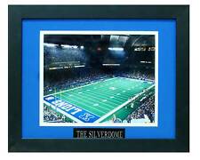 Pontiac silverdome stadium for sale  Westmont