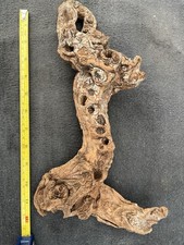 Aquarium natural driftwood for sale  GLOUCESTER