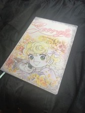 Agenda lady georgie usato  Fiumicino