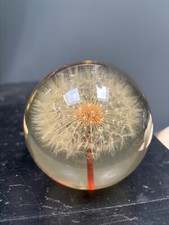 Lucite dandelion paperweight for sale  RINGWOOD