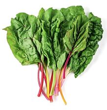 Swiss chard rainbow for sale  DEWSBURY