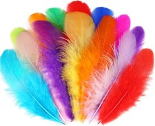 300pcs colorful rooster for sale  Jacksonville