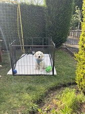 Puppy pet pen for sale  MANCHESTER