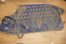 Shires highlander deer for sale  FORFAR