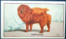 Cartão de cachorro CHOW CHOW original 1924 vintage ilustrado FE11M comprar usado  Enviando para Brazil