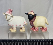 Two ewe toni for sale Two ewe toni for sale  NORTHAMPTON