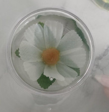 Vintage glasses daisy for sale  DUDLEY