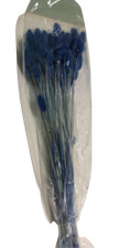 Lagurus topini 70cm usato  Italia