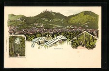 Lithographie eisenach gesamtan gebraucht kaufen  Berlin