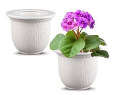 Set african violet for sale  USA