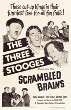 Scrambled brains stooges for sale  Frankenmuth