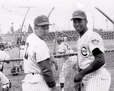 Chicago cubs ron for sale  USA