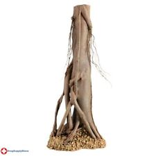 Mangrove root large d'occasion  Expédié en Belgium