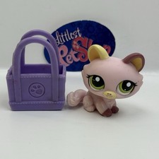 Kitten cat 1489 for sale  Alexandria