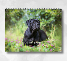 Cane corso calendar for sale  HORSHAM