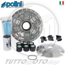 241.645 variatore polini usato  Amantea