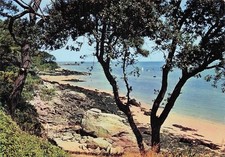 Noirmoutier ile bois d'occasion  Expédié en Belgium