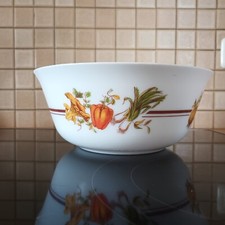 Arcopal spain palglas gebraucht kaufen  Rüsselsheim am Main