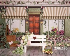 Background backdrop photograph for sale  HIGH WYCOMBE