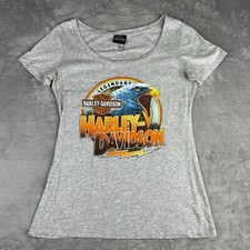 Usado, Camiseta Harley Davidson Feminina Grande Falcon’s Fury Motorcycle Conyers, Cinza GA comprar usado  Enviando para Brazil
