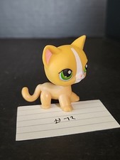 Short hair cat for sale  Shermans Dale