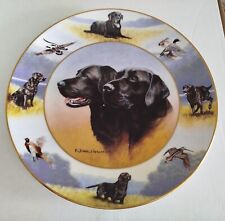 Royal doulton sporting for sale  HARLOW