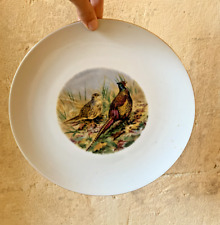 Assiette porcelaine décor d'occasion  Arles