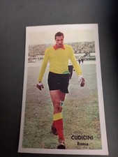 Figurina cartonata calcio usato  Sandigliano