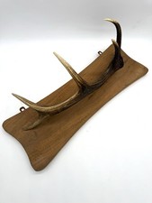 Hirschgeweih holzplatte gehör gebraucht kaufen  Petershagen