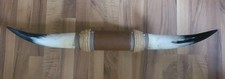 Vtg bull horns for sale  Linesville
