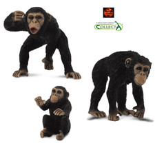 Chimpanzee chimp monkey for sale  COVENTRY