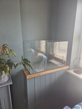 aquariums for sale aquariums for sale PWLLHELI