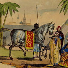 Histoire naturelle cheval d'occasion  France