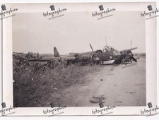 Rginal foto weltkrieg gebraucht kaufen  Deutschland