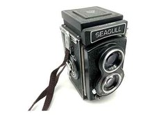Seagull 103 tlr gebraucht kaufen  Bad Emstal