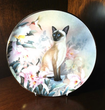 Siamese cat royal for sale  SPALDING
