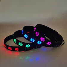 Led halsband hund gebraucht kaufen  Wallenhorst