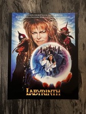Labyrinth rare signed for sale  Miami