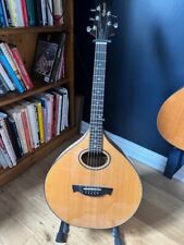Oakwood string cittern for sale  COLCHESTER