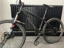 Santa cruz chameleon for sale  NOTTINGHAM