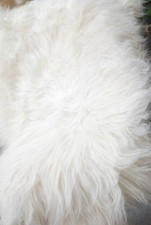 Natural ivory fur for sale  SOUTHALL